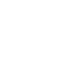 Galería Fotográfica